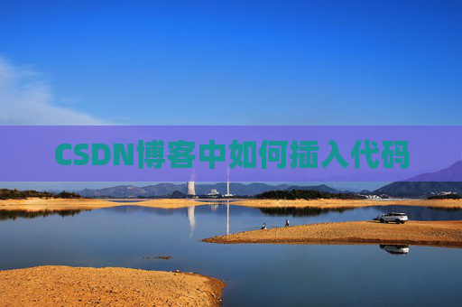 CSDN博客中如何插入代码